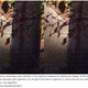 Illustration for article titled With an Eye to the Future, Try Raw Photos Today